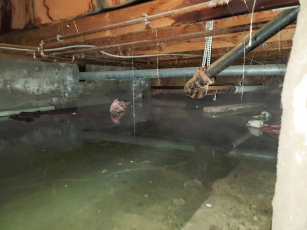 Best Water damage restoration near me  in East Rockaway, NY