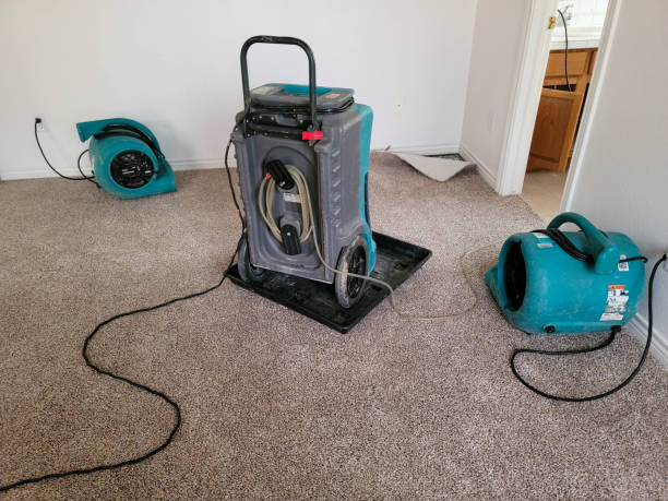 Carpet water damage restoration in East Rockaway, NY