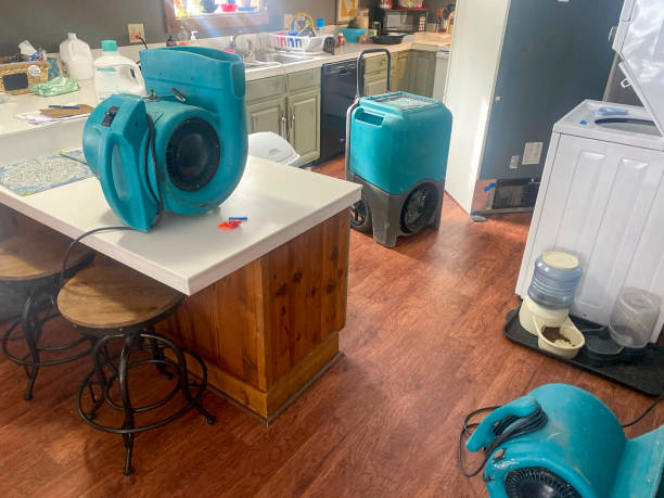 Best 24-hour water damage restoration  in East Rockaway, NY