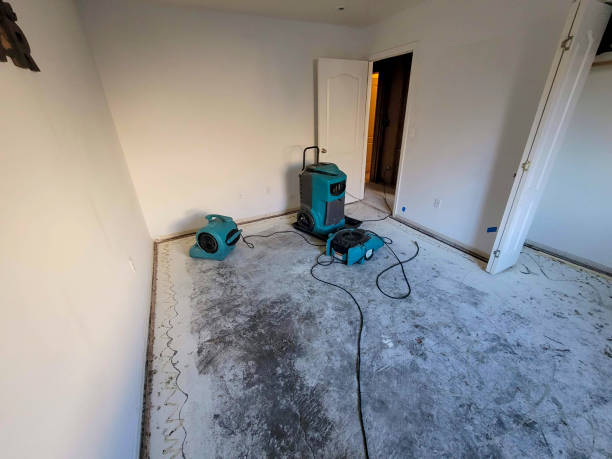 Best Water damage restoration process  in East Rockaway, NY