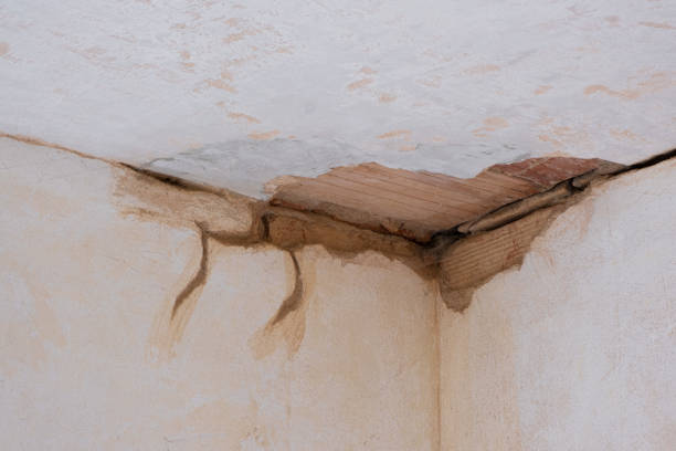 Best Mold removal after water damage  in East Rockaway, NY