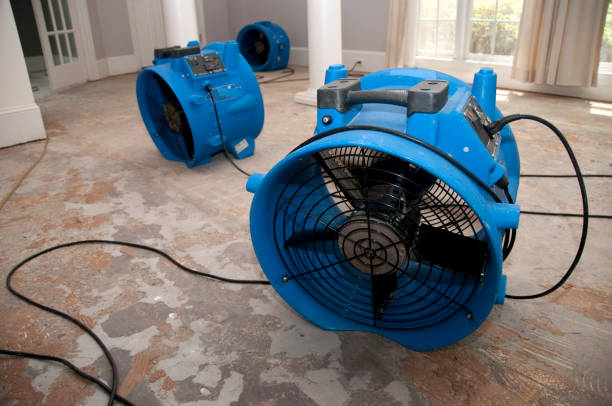 Best 24-hour water damage restoration  in East Rockaway, NY
