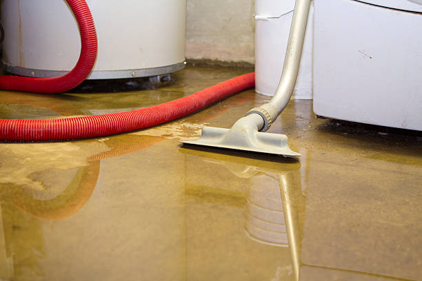 Best Local water damage restoration  in East Rockaway, NY
