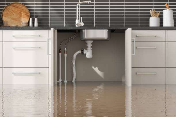 Best Basement water damage restoration  in East Rockaway, NY
