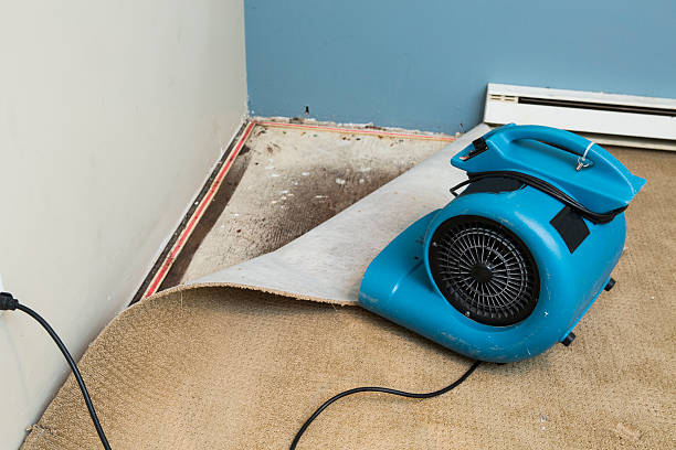Best Emergency water extraction  in East Rockaway, NY
